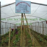 Building Better Future