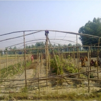Building Better Future